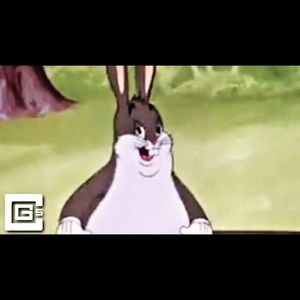 Meet your Posher, Pablo